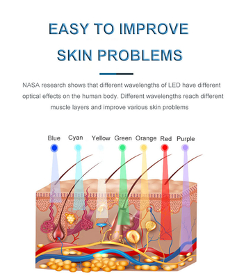 2022 Best Sellers 7 Color LED Light, LED Face Mask Skin Rejuvenation PDT Photon Facial Skin Care Mask